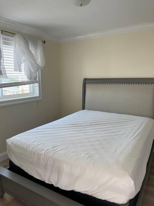 Hampton Beach Ocean Front Condo At The Surf מראה חיצוני תמונה